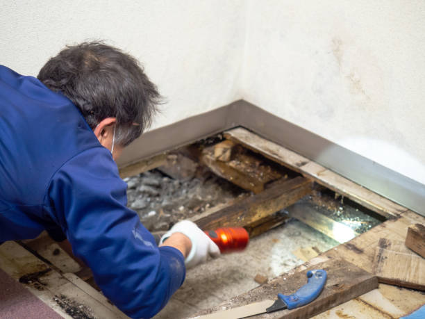 Best Mold Testing and Inspection Services in Akron, PA
